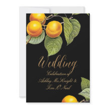 PixDezines fruktträdgård/ Persikor /Redoute