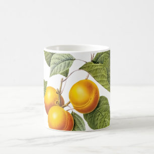 PixDezines fruktträdgård/Persikor/Redoute Kaffemugg