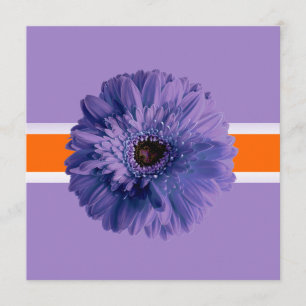 PixDezines Gerbera, lila/dyy färger Inbjudningar