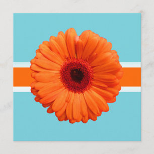 PixDezines Gerbera, orange/diy bakgrundsfärger Inbjudningar