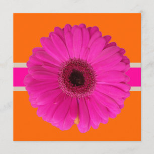 PixDezines Gerbera, rosa/daglig bakgrund/händelse! Inbjudningar