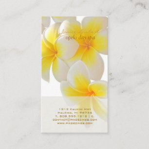 PixDezines Hawaii Plumeria Visitkort