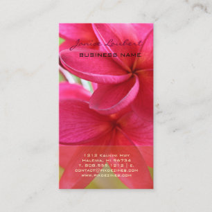 PixDezines HAWAIIAN SHOCK ROSA PLUMERIA Visitkort