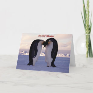 PixDezines Kissing Emperor Penguin Valentine Helgkort