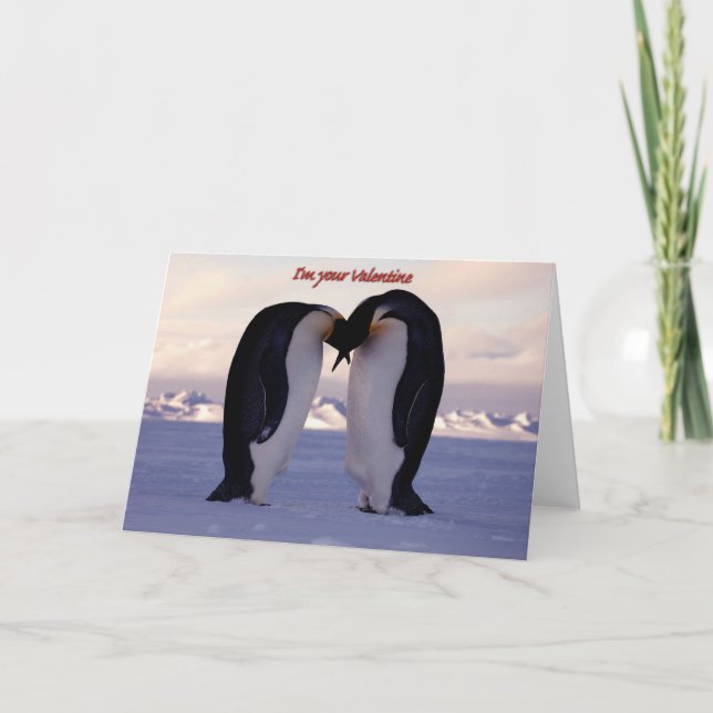 PixDezines Kissing Emperor Penguin Valentine Helgkort (Framsida)