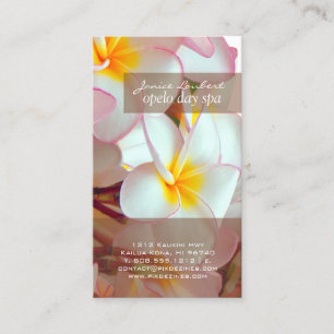 PixDezines kona rosa plumeria Visitkort