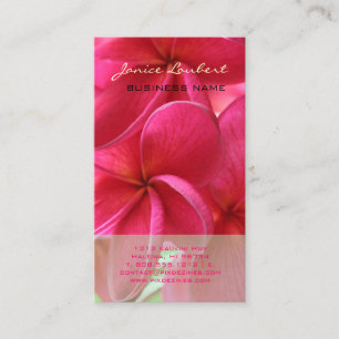 PixDezines KONA ROSA PLUMERIAS Visitkort