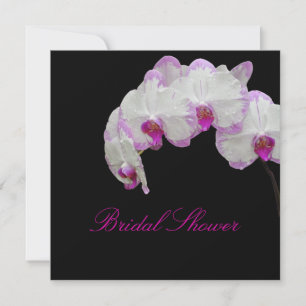 PixDezines moth orchids/fuschia Inbjudningar