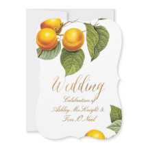 PixDezines Orchard/Peaches/Redoute