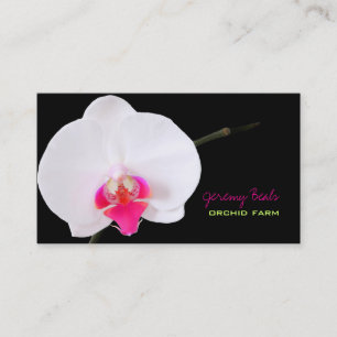 PixDezines orchid/diy bakgrund färg ♥ ♥ ♥ Visitkort
