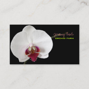 PixDezines orchid/diy bakgrund färg ♥ ♥ ♥ Visitkort