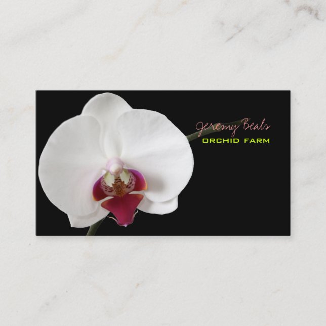 PixDezines orchid/diy bakgrund färg ♥ ♥ ♥ Visitkort (Framsida)