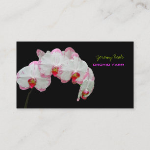 PixDezines orchid/diy bakgrund färg ♥ ♥ ♥ Visitkort