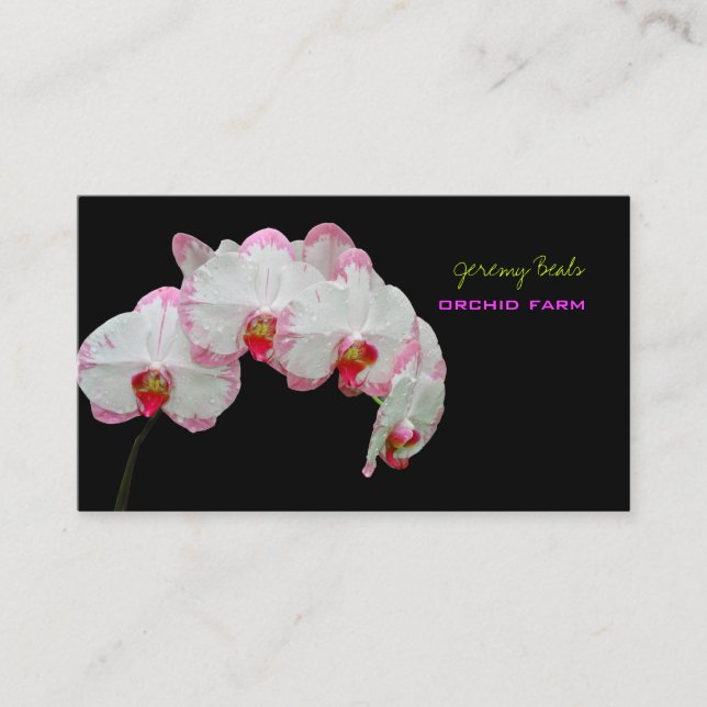 PixDezines orchid/diy bakgrund färg ♥ ♥ ♥ Visitkort (Framsida)