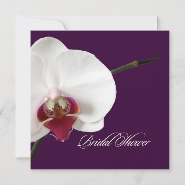 PixDezines orchids/phalaenopsis Inbjudningar (Framsida)