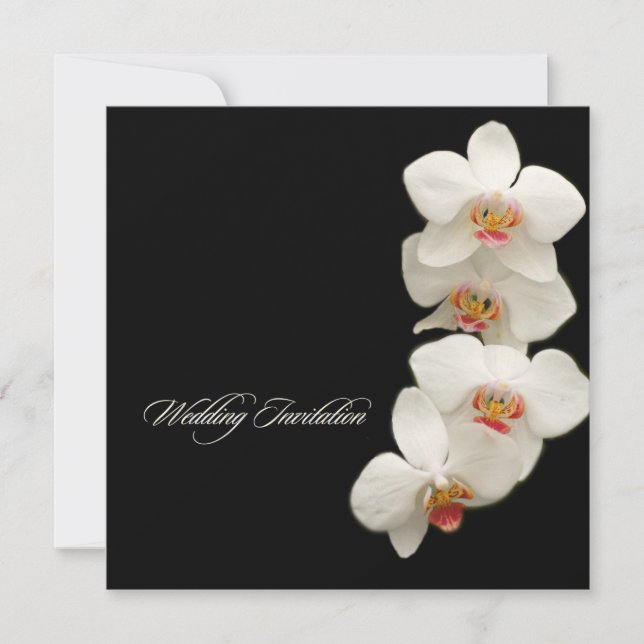 PixDezines orchids/phalaenopsis Inbjudningar (Framsida)