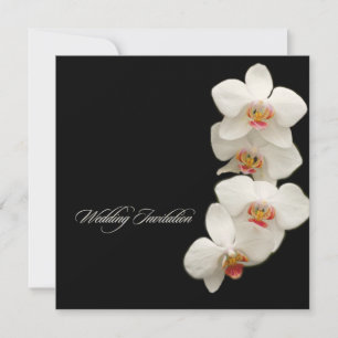PixDezines orchids/phalaenopsis Inbjudningar
