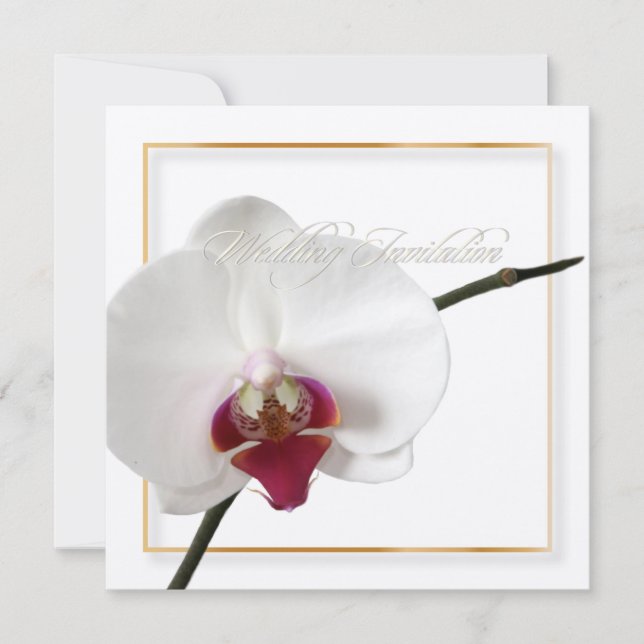 PixDezines orchids/phalaenopsis Inbjudningar (Framsida)
