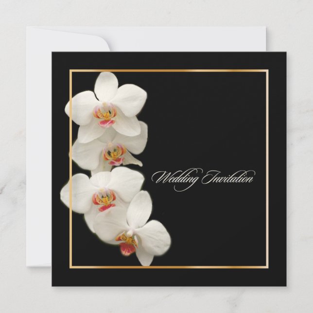 PixDezines orkidéer/phalaenopsis Inbjudningar (Framsida)