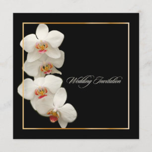 PixDezines orkidéer/phalaenopsis Inbjudningar