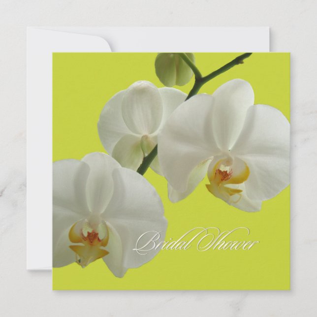 PixDezines orkidéer/phalaenopsis Inbjudningar (Framsida)