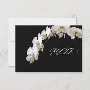 PixDezines orkidéer/phalaenopsis OSA Kort
