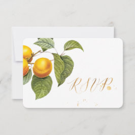 PixDezines OSA Orchard/Peacher/Redoute