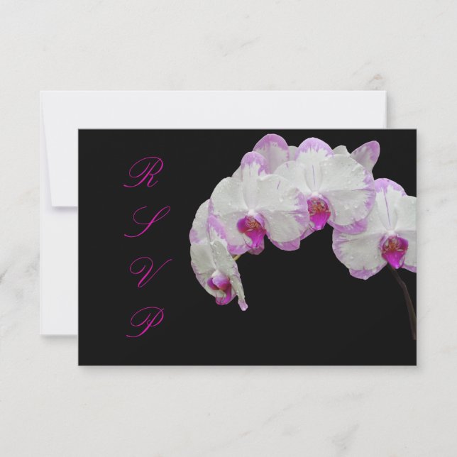 PixDezines osa orchids/fuschia (Framsida)