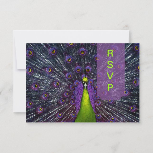 PixDezines osa Peacock Feather Kort (Framsida)