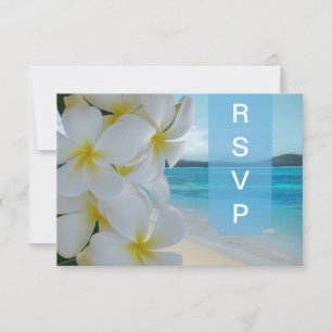 PixDezines OSA PLUMERIA LEI/BEACH Kort