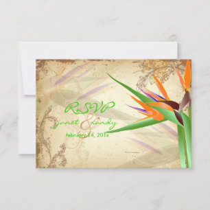 PixDezines OSA VINTAGE BIRD OF PARADISE Kort
