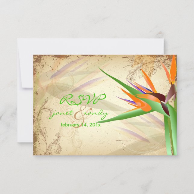 PixDezines OSA VINTAGE BIRD OF PARADISE Kort (Framsida)
