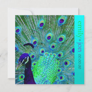 PixDezines peacock/aqua/turkos Inbjudningar