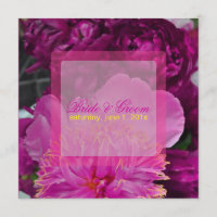 PixDezines Red vin peonies/diy
