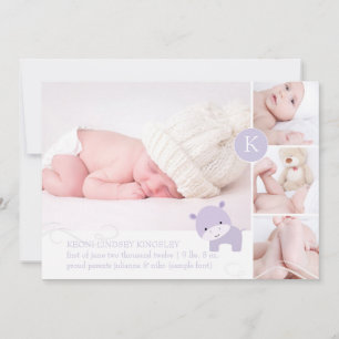 PixDezines rosa hippo/diy accent färg Meddelande