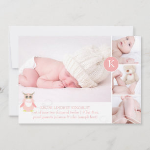 PixDezines rosa uggla/Diy accent färg Meddelande
