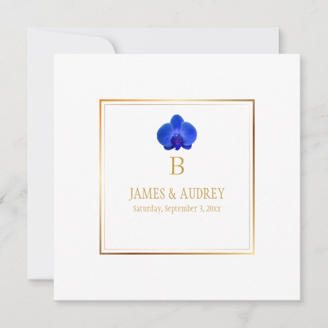PixDezines Royal Blue Orchids/phalaenopsis Inbjudningar (Framsida)