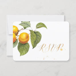 PixDezines RSVP Trädgård/Persikor/Redoute OSA Kort