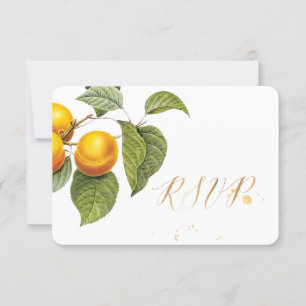 PixDezines RSVP Trädgård/Persikor/Redoute OSA Kort