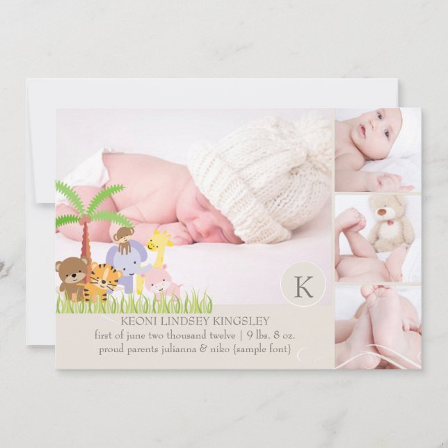 PixDezines safari-djungelfotomall Meddelande (Framsida)