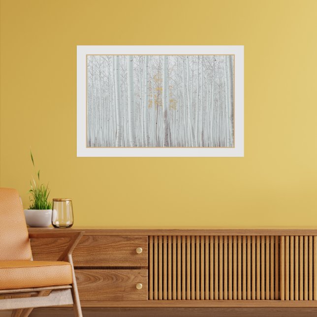 PixDezines Silver Birch Forest DIY Kantfärg Poster (Vardagsrum 2)