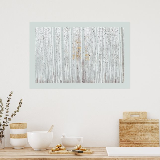 PixDezines Silver Birch skog DIY kant färg Poster (Kök)