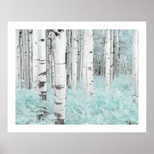 PixDezines Silver Björk Skog Blå Ormbunke Säng Poster (Framsidan)