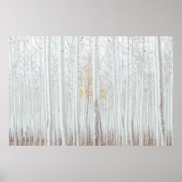 PixDezines Silverbjörkskog Poster