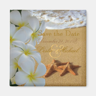 PixDezines Spara Date, Beach+Plumeria+Starfish Magnet