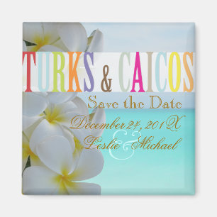 PixDezines Spara Date Turks, Beach+Plumeria Magnet