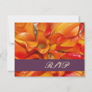 PixDezines STORE OSA ORANGE CALLA LILILIES Kort