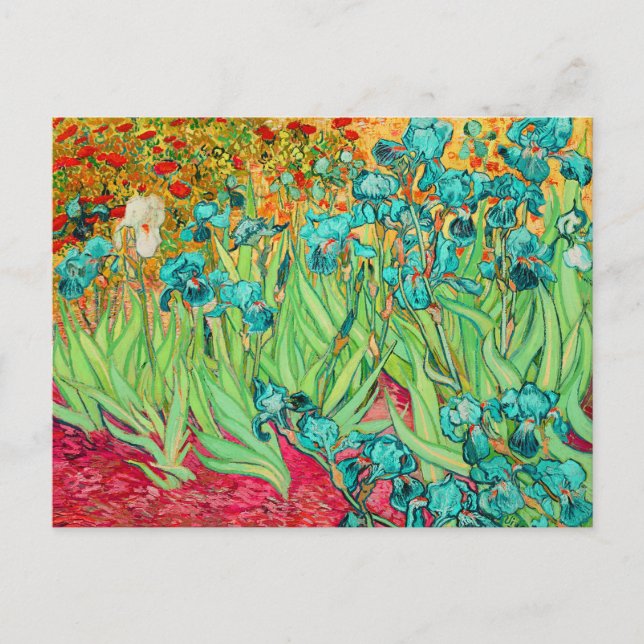 PixDezines van gogh iris/st. remi Vykort (Framsida)