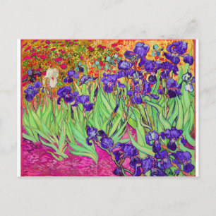 PixDezines van gogh iris/st. remy Vykort