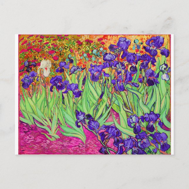 PixDezines van gogh iris/st. remy Vykort (Framsida)
